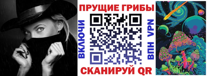 OMG ССЫЛКА  Электросталь  Псилоцибиновые грибы GOLDEN TEACHER  даркнет сайт 